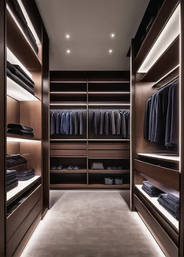 walk-in closet,closet,wardrobe,under-cabinet lighting,hallway space,shelving,women's closet,dark cabinetry,shelves,dressing room,cabinetry,modern room,cupboard,recessed,storage cabinet,changing room,modern style,showroom,armoire,interior design,Illustration,Vector,Vector 11