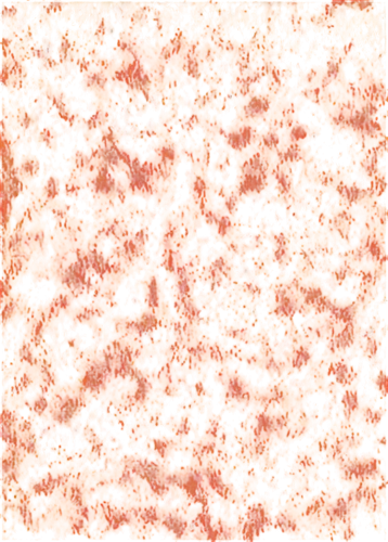 seamless texture,orang,garrisoned,garrison,orange,kngwarreye,garrisons,terrazzo,garrisoning,half orange,orangy,orangish,acridine orange,stone background,wall,dichromate,peppered orange,meditrust,hesperange,lava,Photography,Documentary Photography,Documentary Photography 26