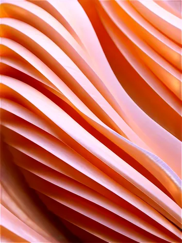 coral swirl,wavefronts,generative,abstract background,background abstract,wave pattern,wavelet,gradient mesh,abstract air backdrop,zigzag background,undulated,swirled,undulating,generated,wavefunctions,wavevector,swirly,abstract backgrounds,wavefunction,degenerative,Unique,Paper Cuts,Paper Cuts 04