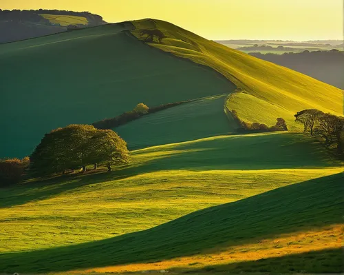 rolling hills,field of rapeseeds,south downs,yellow grass,rapeseed field,green fields,green landscape,tuscany,meadow landscape,beautiful landscape,landscapes beautiful,hills,golden light,landscape background,grassland,landscape nature,nature landscape,golden yellow,grasslands,goldenlight,Illustration,Japanese style,Japanese Style 13