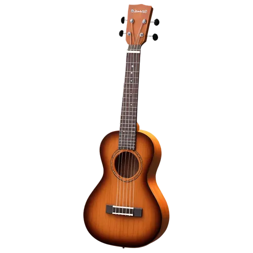 acoustic-electric guitar,classical guitar,acoustic guitar,charango,stringed instrument,stringed bowed instrument,guitar,concert guitar,ukulele,bouzouki,string instrument accessory,bowed string instrument,the guitar,string instrument,epiphone,guitar accessory,arpeggione,plucked string instrument,cavaquinho,fender g-dec,Art,Classical Oil Painting,Classical Oil Painting 31