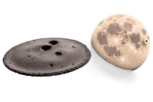 moon craters,galilean moons,moons,oospores,lunar phase,daifuku,lunar landscape,derivable,moon phases,lunar phases,moonballs,lunar rocks,caciocavallo,moonscapes,craters,moon and star,micrometeorites,moon surface,concretions,lava stones,Conceptual Art,Fantasy,Fantasy 30