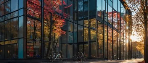 glass building,glass facade,glass facades,mvrdv,karolinska,rikshospitalet,neulaniemi,rigshospitalet,espoo,aarhus,otaniemi,museumsquartier,arkitekter,autumn light,uppsala,hafencity,sfu,oslo,kerava,frederiksberg,Photography,Artistic Photography,Artistic Photography 02