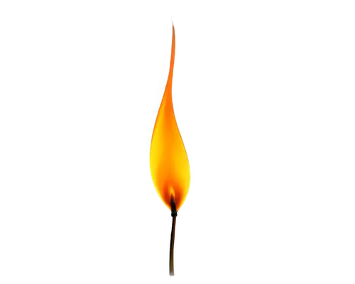 flaming torch,matchstick,olympic flame,flame flower,candle wick,torch tip,flameless candle,fire flower,flame of fire,flame vine,firespin,fire poker flower,citronella,fire lily,flame lily,flame spirit,burning torch,torch,the eternal flame,fire logo,Art,Classical Oil Painting,Classical Oil Painting 16