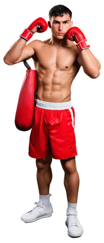 vijender,amirkhanov,clenbuterol,muayad,yuriorkis,boxing,boxe,mudali,flyweight,kickboxing,sparred,yandarbiev,boxing gloves,buglioni,pugilistic,pugilist,golovkin,cejudo,muaythai,heilbroner,Art,Artistic Painting,Artistic Painting 21