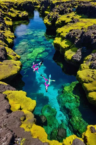 Snorkeling tour in Silfra Fissure in Iceland,tide pool,volcano pool,acid lake,lanzarote,iceland,jeju island,eastern iceland,roraima,lava river,grancanaria,colorful water,navajo bay,galapagos islands,n