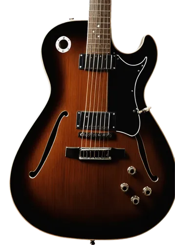 archtop,epiphone,framus,guitarra,silvertone,guitar,hofner,collings,dlx,takamine,knaggs,gretsch,electric guitar,fgn,concert guitar,rampone,embossed rosewood,guitton,guiterrez,guitare,Photography,Black and white photography,Black and White Photography 08