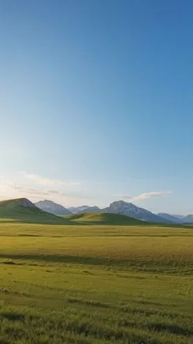 windows wallpaper,landscape background,grain field panorama,panoramic landscape,grasslands,castelluccio,nature background,the mongolian and russian border mountains,plains,semipalatinsk,background view nature,rolling hills,meadow landscape,view panorama landscape,flatlands,the mongolian-russian border mountains,expanses,mongolia,grassland,nature of mongolia