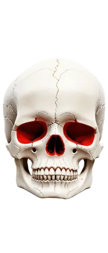 skull illustration,zygomatic,skull,skull bones,scull,fetus skull,occipital,skull mask,skulls bones,cranial,skull sculpture,skulls,craniopagus,skeletal,supraorbital,skeleton,3d model,temporomandibular,pterygoid,skull allover,Art,Classical Oil Painting,Classical Oil Painting 22