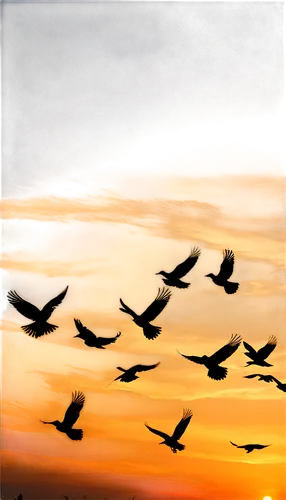 birds in flight,bird flight,birds flying,flying birds,migratory birds,flock of birds,bird in the sky,bird painting,bird migration,flying sea gulls,crested terns,gulls,geese flying,flock home,mumuration,the birds,sea gulls,swifts,birds,migration,Illustration,Realistic Fantasy,Realistic Fantasy 40