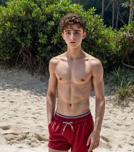 Timothée Chalamet, buzz cut, low fade, youth adult, xs, man, black hair, uhd, 4k, hyper realistic,shirtless,beach background,austin stirling,george russell,active shorts,austin morris,beach toy,lukas 