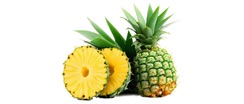 pineapple background,ananas,pineapple wallpaper,pinya,bromelain,pinapple,pineapple plant,small pineapple,fir pineapple,pineapple comosu,pineapple basket,pineapples,a pineapple,fresh pineapples,juglandaceae,pineapple flower,mini pineapple,pineapple sprocket,pineapple pattern,young pineapple,Illustration,Retro,Retro 14