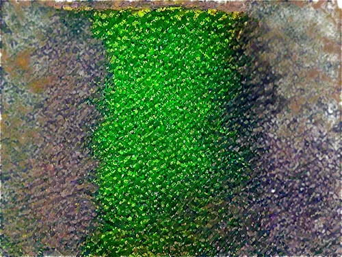 Toad's toes, green skin, wart-like bumps, three toes, webbed feet, shiny eyes, sitting on lily pad, water droplets, morning dew, close-up shot, macro photography, soft focus, vibrant colors.,azolla,dr