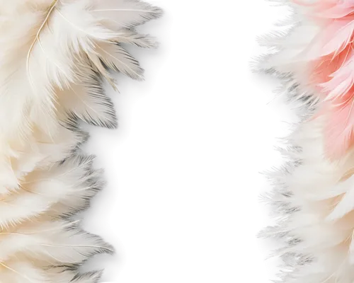 feather boa,fur,ostrich feather,wire hair fox terrier,parrot feathers,silkie,color feathers,cats angora,fur clothing,shetland sheepdog tricolour,cavachon,angora,bearded collie,feathers,feathery,foxtail,chicken feather,havanese,beak feathers,feathered,Illustration,Retro,Retro 03