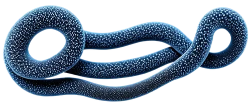 roundworms,ophiusa,pseudoknot,uncoiled,blue snake,coiled,flagella,ercp,roundworm,flagellum,golgi,supercoiled,rod of asclepius,nematoda,glomerulus,ophiuchi,micropholis,vastola,hookworm,flagellar,Photography,Fashion Photography,Fashion Photography 12