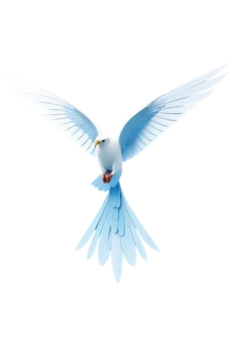 dove of peace,peace dove,doves of peace,twitter logo,twitter bird,aegaleo,wing blue white,white dove,bird png,blue bird,blue butterfly background,holy spirit,white eagle,quickbird,fairy tern,whitewings,peaceforce,angel wing,transparent background,birational,Conceptual Art,Oil color,Oil Color 09