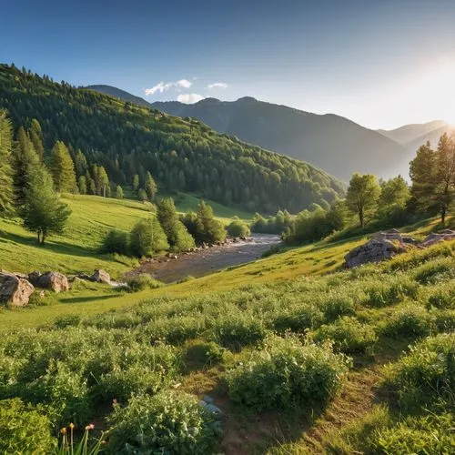 carpathians,meadow landscape,alpine landscape,south tyrol,alpine meadow,mountain meadow,alpine pastures,green landscape,alpine meadows,landscape background,east tyrol,bucovina romania,alpine region,mountain pasture,valdagno,austria,salt meadow landscape,nature landscape,background view nature,mountain landscape,Photography,General,Realistic