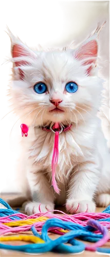 blue eyes cat,cat with blue eyes,bewhiskered,whiskered,ball of yarn,pink cat,yarn,circus animal,cute cat,whiskas,white cat,cat image,cat vector,kittenish,tea party cat,whisker,doll cat,funny cat,friskies,cartoon cat,Conceptual Art,Graffiti Art,Graffiti Art 08