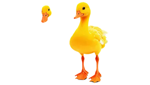 yellow chicken,rockerduck,duck,lameduck,ducky,dodos,fry ducks,diduck,quacker,duckies,duck bird,quacking,red duck,a pair of geese,the duck,quack,rubber ducks,ducks,sneetches,big bird,Photography,Artistic Photography,Artistic Photography 12