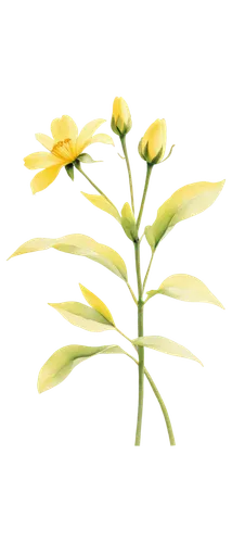 Bright yellow flowers, blooming, petals soft and delicate, green stem, leaves oval-shaped, vase or pot, morning sunlight, 3/4 composition, warm color tone, shallow depth of field, soft focus, gentle b