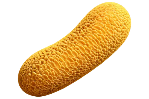 golgi,mitochondrion,mitochondrial,mitochondria,flagella,tamponnaise,plasmon,lactobacillus,cobolli,eclair,eukaryote,ecoli,escherichia coli,pylori,pseudomonas,suppository,listeria,lactobacilli,spermatozoa,merguez,Conceptual Art,Graffiti Art,Graffiti Art 02