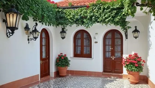 spanish tile,patios,patio,casitas,traditional house,exterior decoration,porticos,adobes,greek island door,courtyard,verandas,barretos,house entrance,estili,skopelos,guesthouses,cortile,esteruelas,pergolas,porticoes,Illustration,Realistic Fantasy,Realistic Fantasy 19