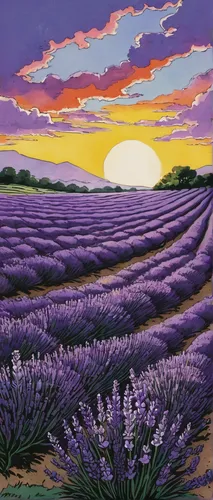 Lavender Sunrise by Anon - FairField Art Publishing,lavender field,lavender fields,valensole,purple landscape,lavender cultivation,the lavender flower,lavender flowers,lavander,verbena,la violetta,lav