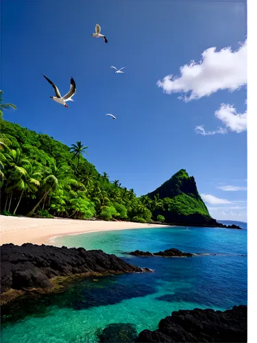 huahine,noronha,grenadines,seychellois,antilles,raiatea,kosrae,beautiful beaches,napali coast,windward,south pacific,southern island,moorea,guadeloupe,pitcairn,hiva,guadeloupean,mauritius,hawaii,tropical sea,Photography,Black and white photography,Black and White Photography 10