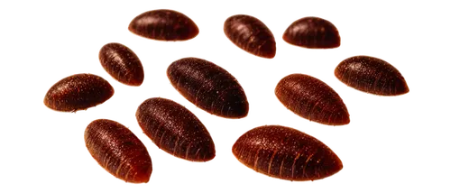 Close-up, macro photography, brown cockroach droppings, irregular shape, rough texture, glossy surface, scattered on white background, dramatic lighting, high contrast, shallow depth of field, dark am