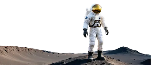 spacesuit,spacewalker,spaceman,astronaut,astronautic,moonman,space suit,extravehicular,spacemen,interstellar,firstman,spaceflights,spacesuits,astronautics,cosmonaut,taikonaut,spacefill,spacefaring,panspermia,space art,Art,Classical Oil Painting,Classical Oil Painting 28