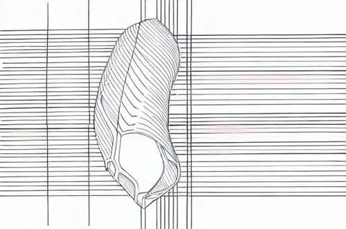 pointe shoe,technical drawing,design of the rims,frame drawing,stack-heel shoe,sheet drawing,leg disk,shoe sole,smoothing plane,heel shoe,ventilation grille,fence element,surfboard fin,pencil frame,walking shoe,stringed bowed instrument,cycling shoe,drawing trumpet,bicycle shoe,ballet shoe,Design Sketch,Design Sketch,Hand-drawn Line Art