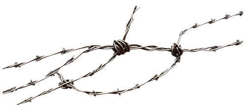 barbed wire,ribbon barbed wire,barbwire,barb wire,barbed,wire fence,nato wire,wall,crown of thorns,wire fencing,chain-link fencing,prison fence,holocaust,unfenced,concentration camp,captivity,chain fence,chainlink,chain link,auschwitz 1,Unique,3D,Low Poly