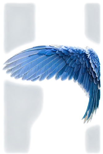 twitter logo,wing blue color,angel wing,angel wings,wing blue white,angelology,winged heart,winged,blue parrot,wings,bird wings,bird png,bird wing,paypal icon,twitter bird,feather,blue macaw,life stage icon,harpy,white feather,Art,Classical Oil Painting,Classical Oil Painting 04