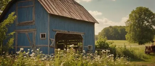 barn,old barn,red barn,field barn,barnhouse,bucolic,huneck,heartland,barns,farm house,farm background,polders,meadow,huset,farm hut,farmstand,hayloft,outbuilding,gable field,danish house,Photography,General,Cinematic