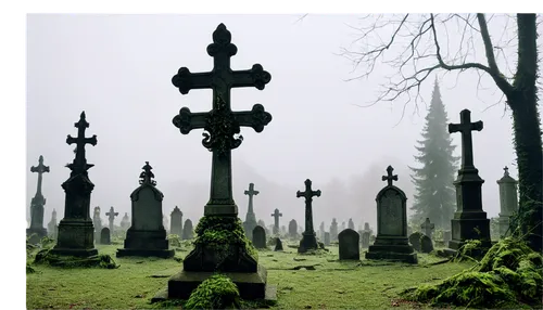 graveyards,grave stones,graveyard,old graveyard,forest cemetery,gravestones,tombstones,burial ground,friedhof,cemetery,cemetary,cemetry,burials,old cemetery,headstones,jew cemetery,obituaries,churchyards,epitaphs,graveside,Conceptual Art,Sci-Fi,Sci-Fi 14