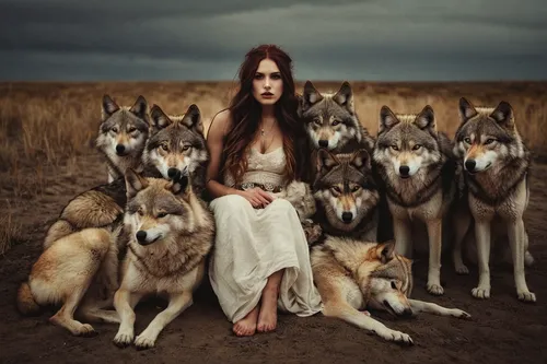 wolves,wolf pack,huskies,canines,wolfdog,wolf's milk,howling wolf,shamanic,herder,wolf hunting,wolf,the wolf pit,canis lupus,werewolves,girl with dog,shamanism,canidae,saarloos wolfdog,conceptual photography,howl,Photography,Artistic Photography,Artistic Photography 14