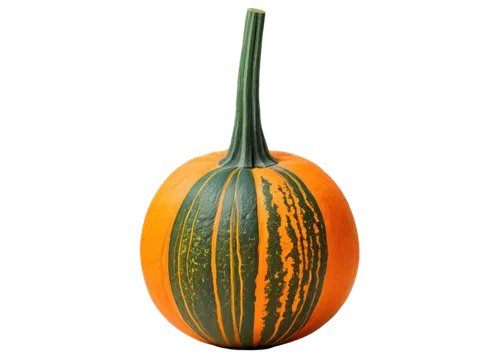 gem squash,cucuzza squash,cucurbita,figleaf gourd,scarlet gourd,calabaza,winter squash,pointed gourd,gourd,cucurbit,decorative squashes,bitter gourd,ornamental gourds,striped pumpkins,acorn squash,squash,muskmelon,hokkaido pumpkin,gourds,decorative pumpkins,Illustration,Retro,Retro 11