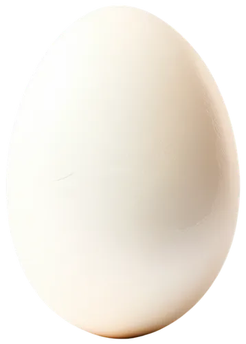 Transparent egg PNG, oval shape, white eggshell, delicate cracks, soft glow, isolated, centered composition, macro photography, shallow depth of field, warm lighting, high contrast, detailed texture.,