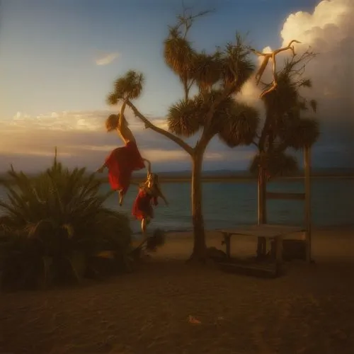 two palms,palm tree,thorgerson,palms,tree swing,multiple exposure,christakis,deckchair,hanging elves,delphic,slackline,photomanipulation,christmas on beach,santa claus at beach,palm tree silhouette,tr