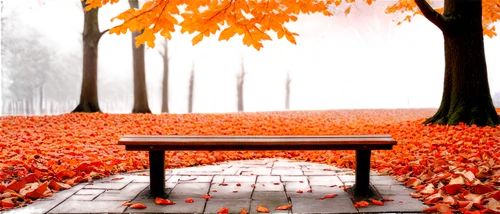 park bench,autumn background,red bench,bench,wooden bench,autumn frame,autumn in the park,autumn park,benches,cartoon video game background,autumn scenery,the autumn,autumn idyll,stone bench,3d background,just autumn,autumn songs,picnic table,autumn day,autumn,Conceptual Art,Sci-Fi,Sci-Fi 08