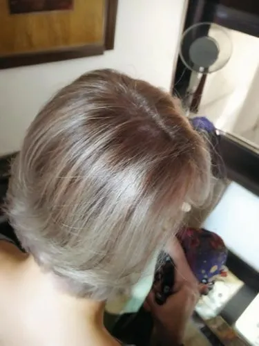 hair coloring,short blond hair,natural color,smooth hair,silvery blue,champagne color,silvery,caramel color,gray color,brown,blond hair,silver lacquer,asymmetric cut,hair,back of head,silver blue,blonde,british semi-longhair,colorpoint shorthair,hair shear