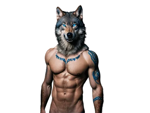 derivable,doberman,aleu,canid,huskie,canine,husked,husky,3d rendered,atunyote,huskey,doberan,pec,wolfed,wuffli,wellard,dobie,wolf,wolfdog,3d render,Illustration,Paper based,Paper Based 03