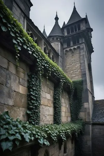 Ancient gutter system, ornate Gothic design, stone carvings, intricate stonework, grand castle, medieval European style, detailed roof tiles, weathered stone walls, ivy climbing up walls, misty atmosp