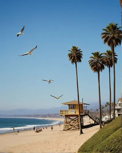 Southern California coastline, sunny day, clear blue sky, palm trees swaying gently, sandy beach, surfers riding waves, seagulls flying overhead, lifeguard tower in the distance, people sunbathing or 