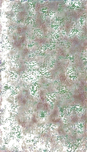 seamless texture,landcover,marpat,generated,landsat,metop,forest moss,sphagnum,nothofagus,forest floor,groundcovers,groundcover,vegetation,coniferous,shrub,tree texture,liverwort,foliated,bryophyte,degenerative,Art,Classical Oil Painting,Classical Oil Painting 23