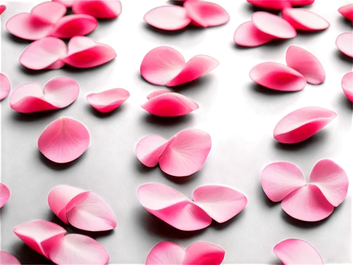 bokeh hearts,pink petals,puffy hearts,pink clover,petals,pink flowers,heart candies,rose petals,valentine background,flowers png,floral digital background,cyclamen,cherry petals,pink floral background,neon valentine hearts,chrysanthemum background,flower background,pink carnation,bokeh pattern,piano petals,Art,Classical Oil Painting,Classical Oil Painting 32