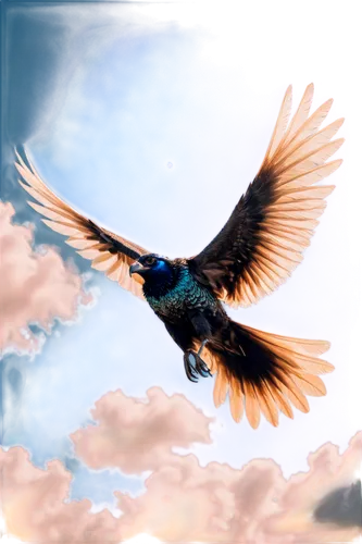 rapace,bird in the sky,blue bird,soar,microraptor,bird flying,flying hawk,macaws blue gold,skylark,bird wing,cygnes,bird fly,flying bird,bird in flight,dove of peace,peace dove,bluejay,alcedo,birdlike,blue macaws,Illustration,Realistic Fantasy,Realistic Fantasy 47