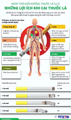 medical concept poster,chinese medicine,lung cancer,gỏi cuốn,traditional chinese medicine,lung ching,nước chấm,info graphic,chả lụa,intubation,mì quảng,human digestive system,respiratory protection,in