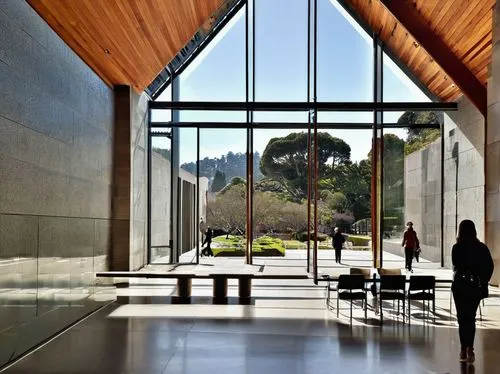 De Young Museum, San Francisco, California, USA, modern architecture, grand entrance, large glass windows, sleek metal framework, elegant stone walls, intricate details, angular lines, geometric shape