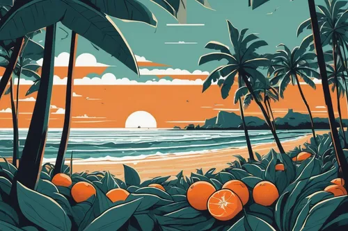 tropics,coconut trees,tropical beach,hawaii,kauai,tropical sea,tropical floral background,dream beach,beach landscape,honolulu,palmtrees,coconut palms,coconuts on the beach,beach scenery,tropic,oahu,pacific,tropical island,tropical,orange bay,Illustration,Vector,Vector 06